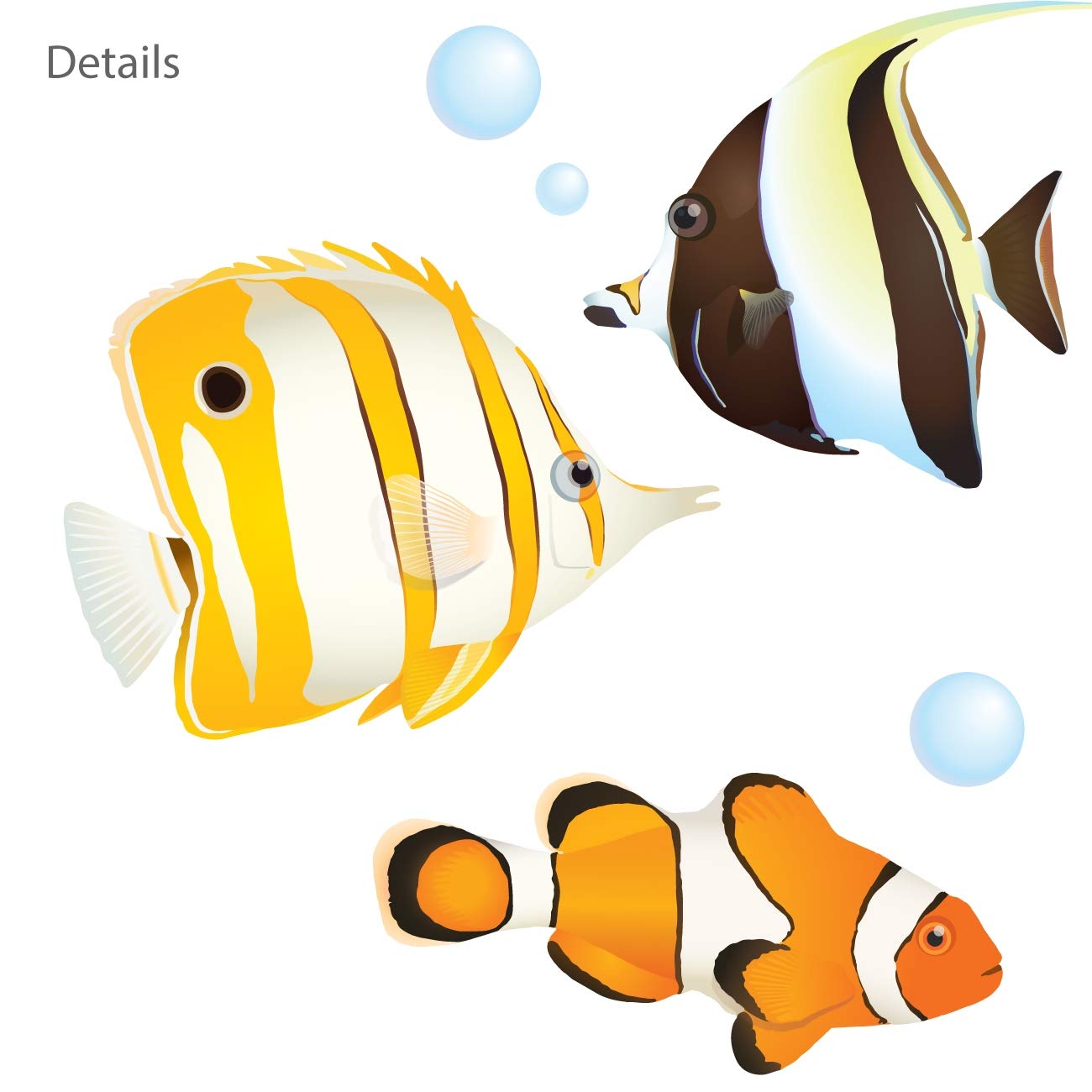 DECOWALL DS-8035 coral reef fish kids-room setup shows playful undersea decor