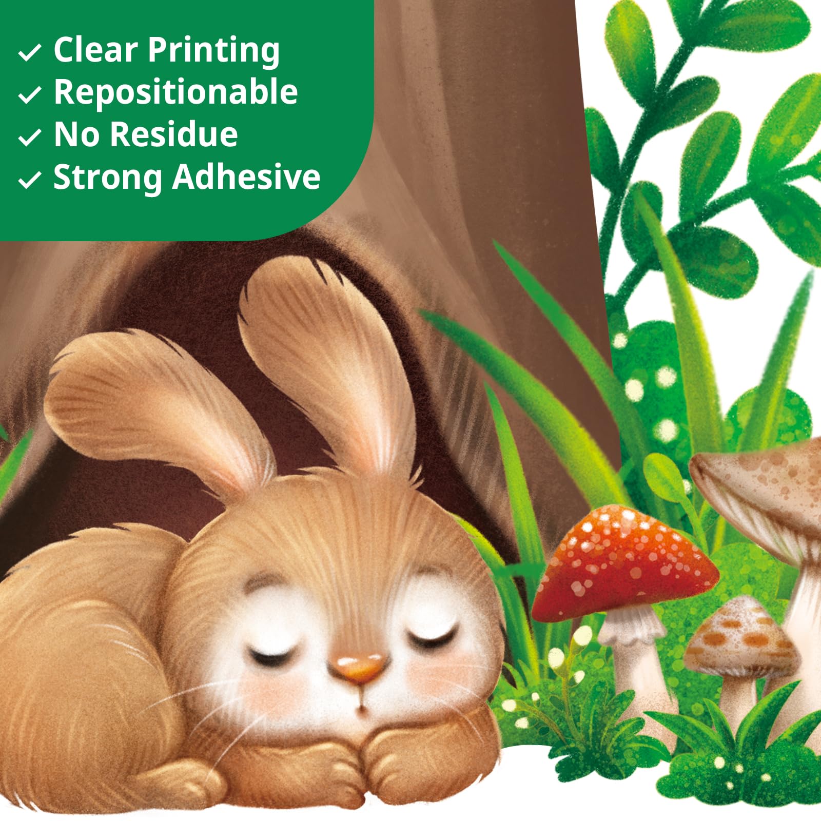 DECOWALL Woodland raccoon decal invites exploration and cozy reading corners.