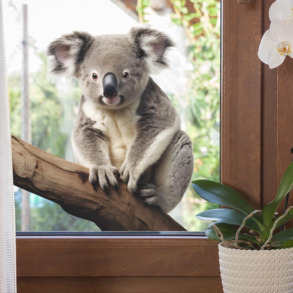 DEIKOKA koala wall decal 3D on nursery wall for playful ambience