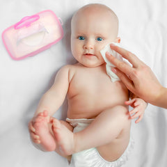 DOITOOL portable car-wipes-holder keeps essentials within reach