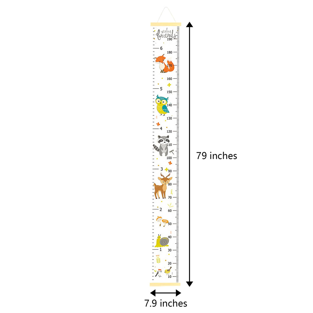 DOOLMIN growth chart packaging instructions help quick setup guidance