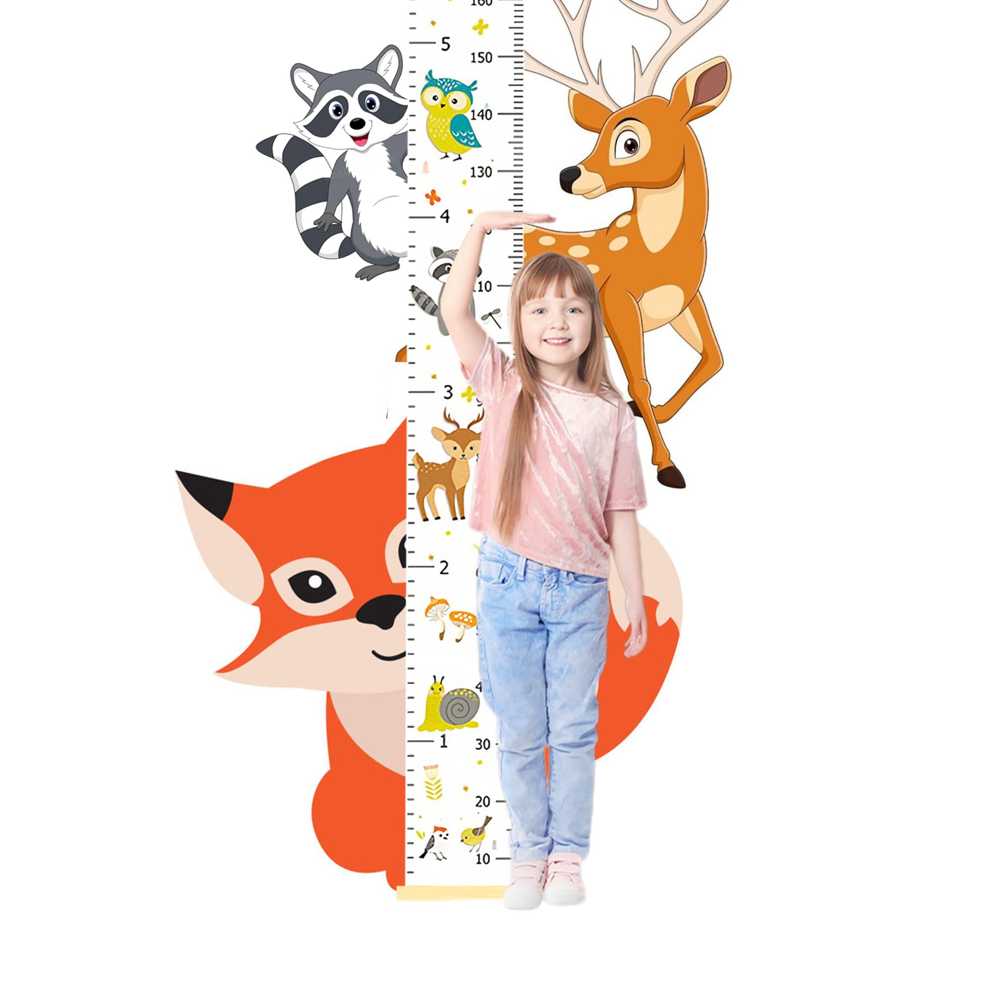 DOOLMIN growth chart wood frame detail highlights sturdy styling for kids rooms