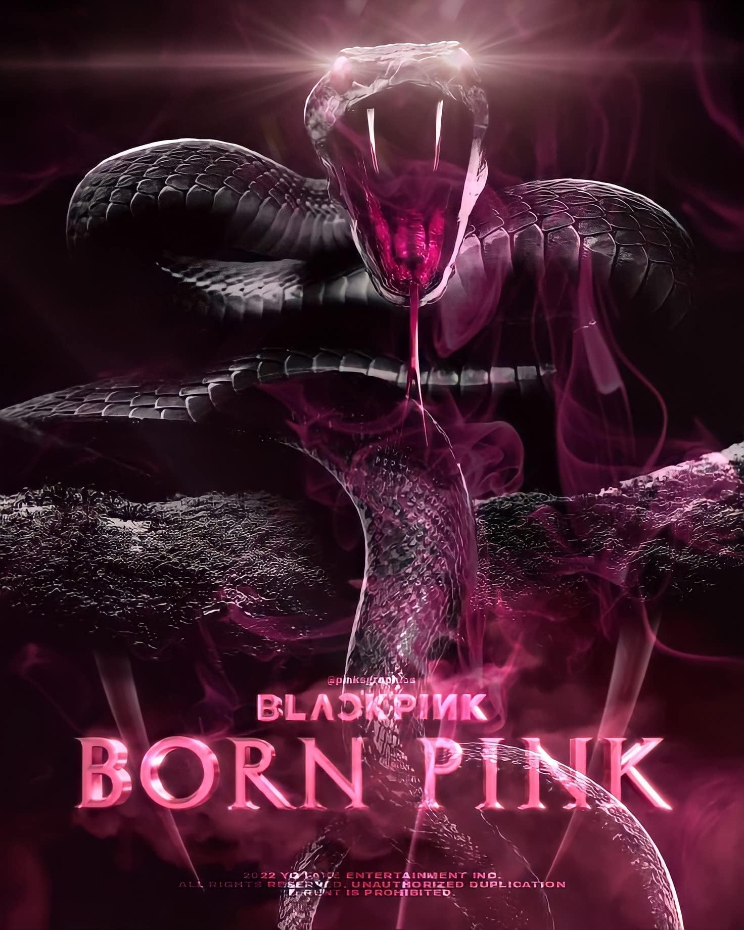 DREAMUS Blackpink Born Pink gray selfie photocard—personalized keepsake from the set.