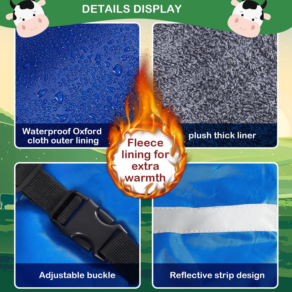 Dunzy blue back view demonstrates secure hook-and-loop fasteners for easy wear.