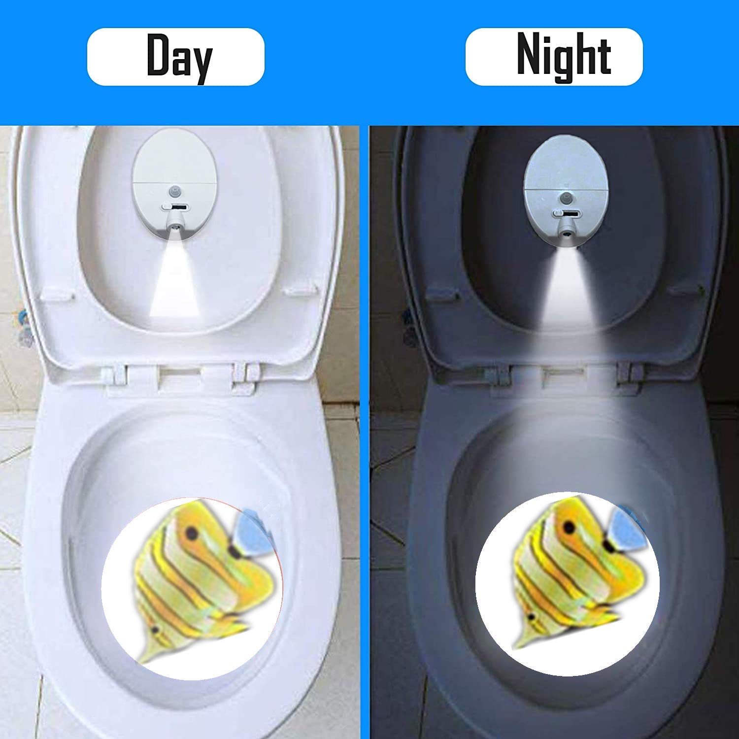 DVCB Supply toddler potty projector Battery-operated design supports cordless use