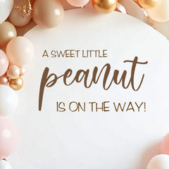 Dvehdbay Sweet Little Peanut baby shower decor delights guests with a cute theme.
