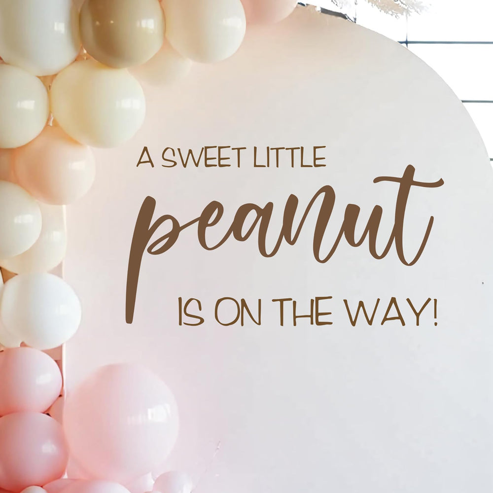 Dvehdbay Sweet Little Peanut sign pairs with banners for cohesive decor.