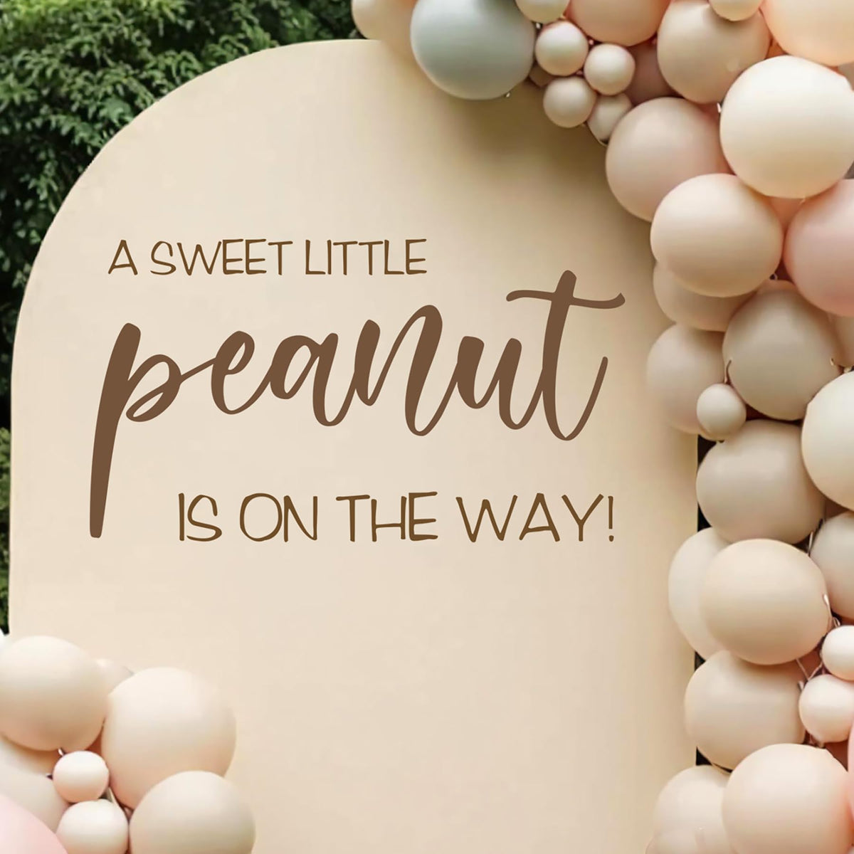 Dvehdbay Sweet Little Peanut sign backdrop for festive first birthday portraits.