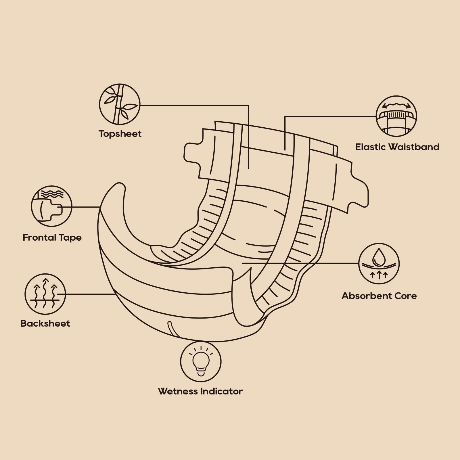 ECO BOOM Size 3 elastic waistband ensures secure fit and mobility