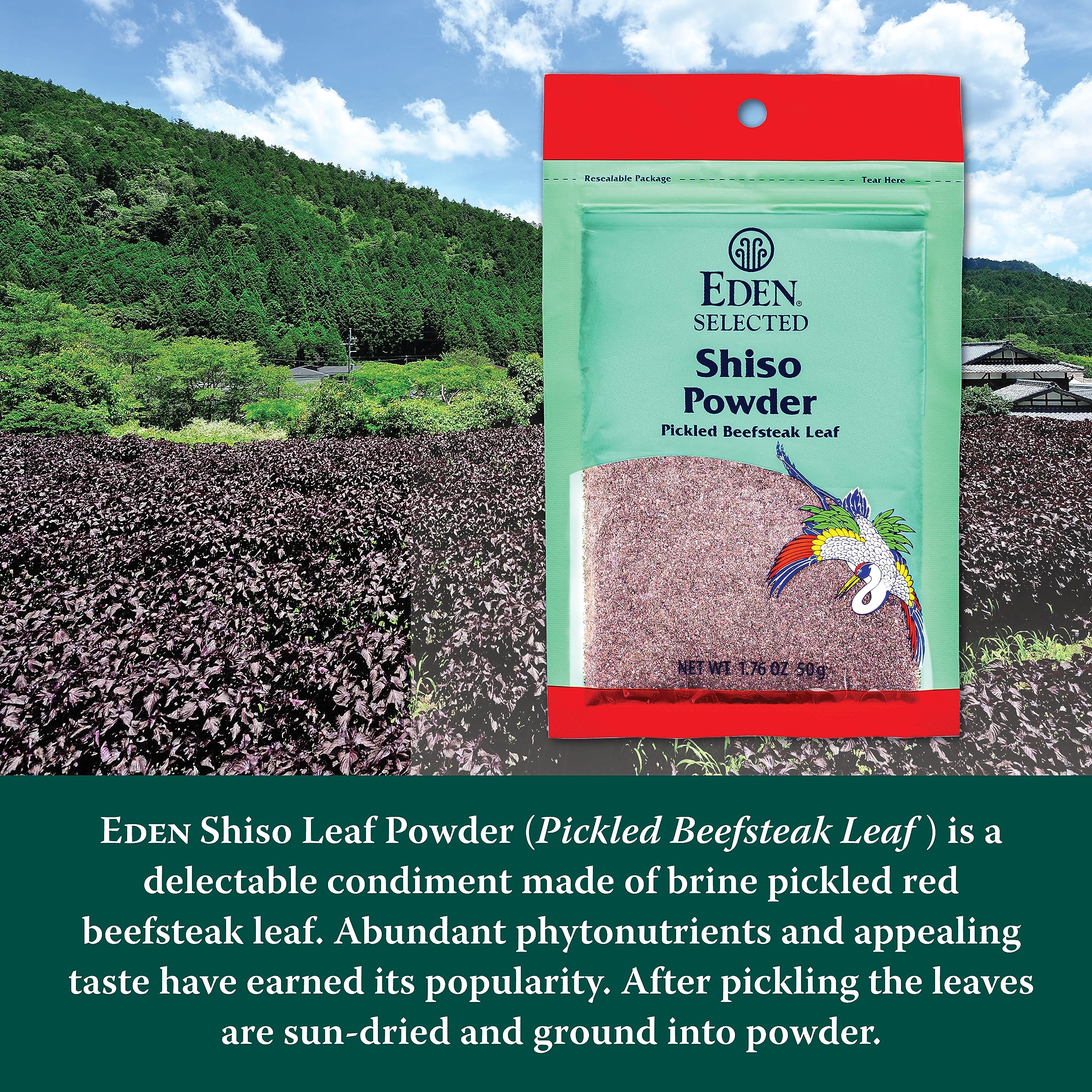 Eden Shiso Leaf Powder served with salad shows tart finishing touch