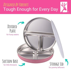 Elk and Friends main and side compartments support balanced meals.