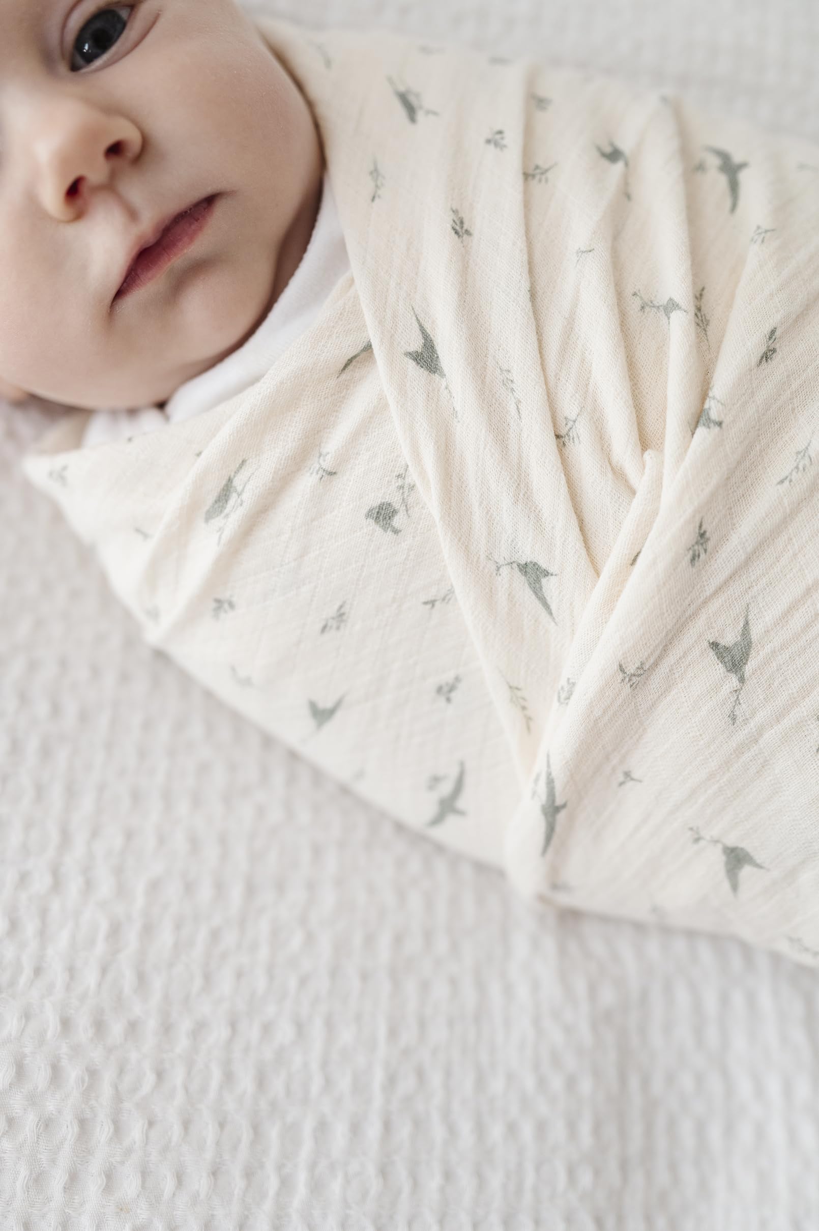 Ely's & Co sage bird swaddle full view emphasizes extra-large size for multipurpose baby care.