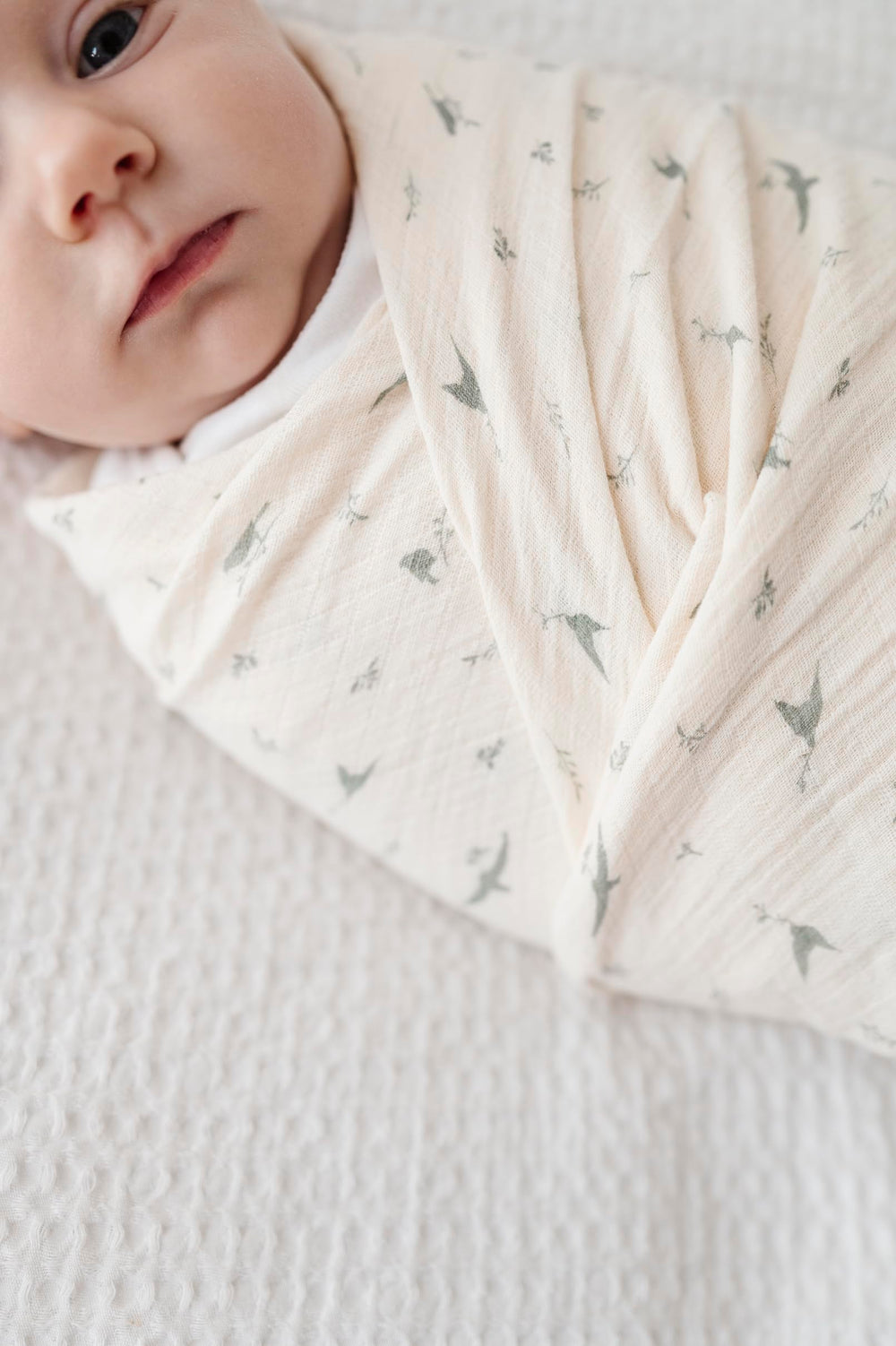 Ely's & Co sage bird swaddle full view emphasizes extra-large size for multipurpose baby care.