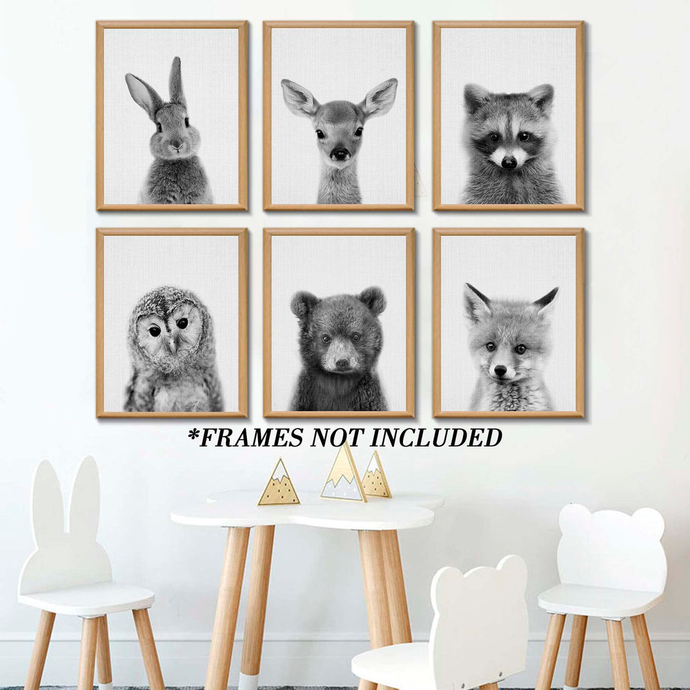 EPHANY baby animal art collection 6pcs enhances coordinated nursery gallery wall