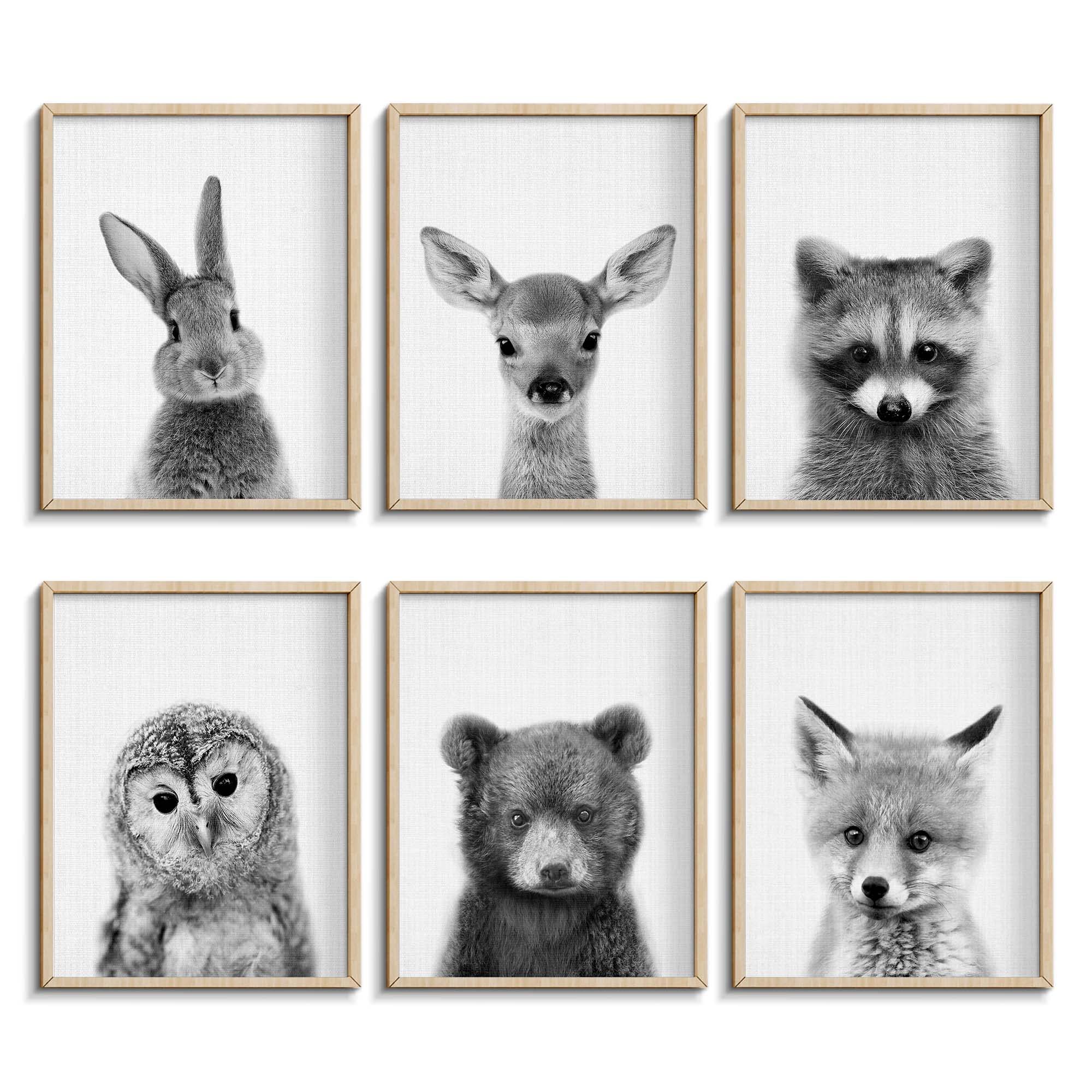EPHANY black and white baby animal posters for nursery decor and calming walls