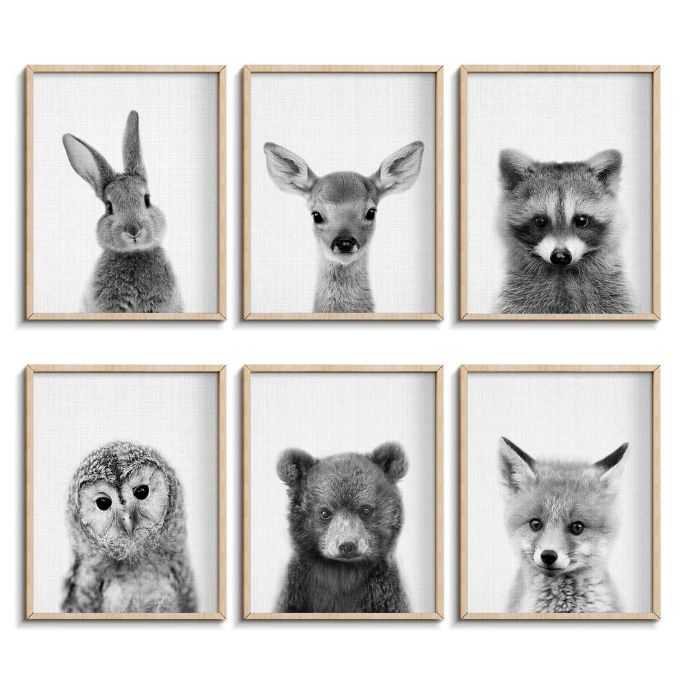EPHANY black and white baby animal posters for nursery decor and calming walls