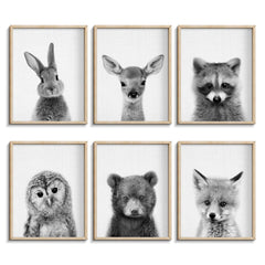 EPHANY black and white baby animal posters for nursery decor and calming walls