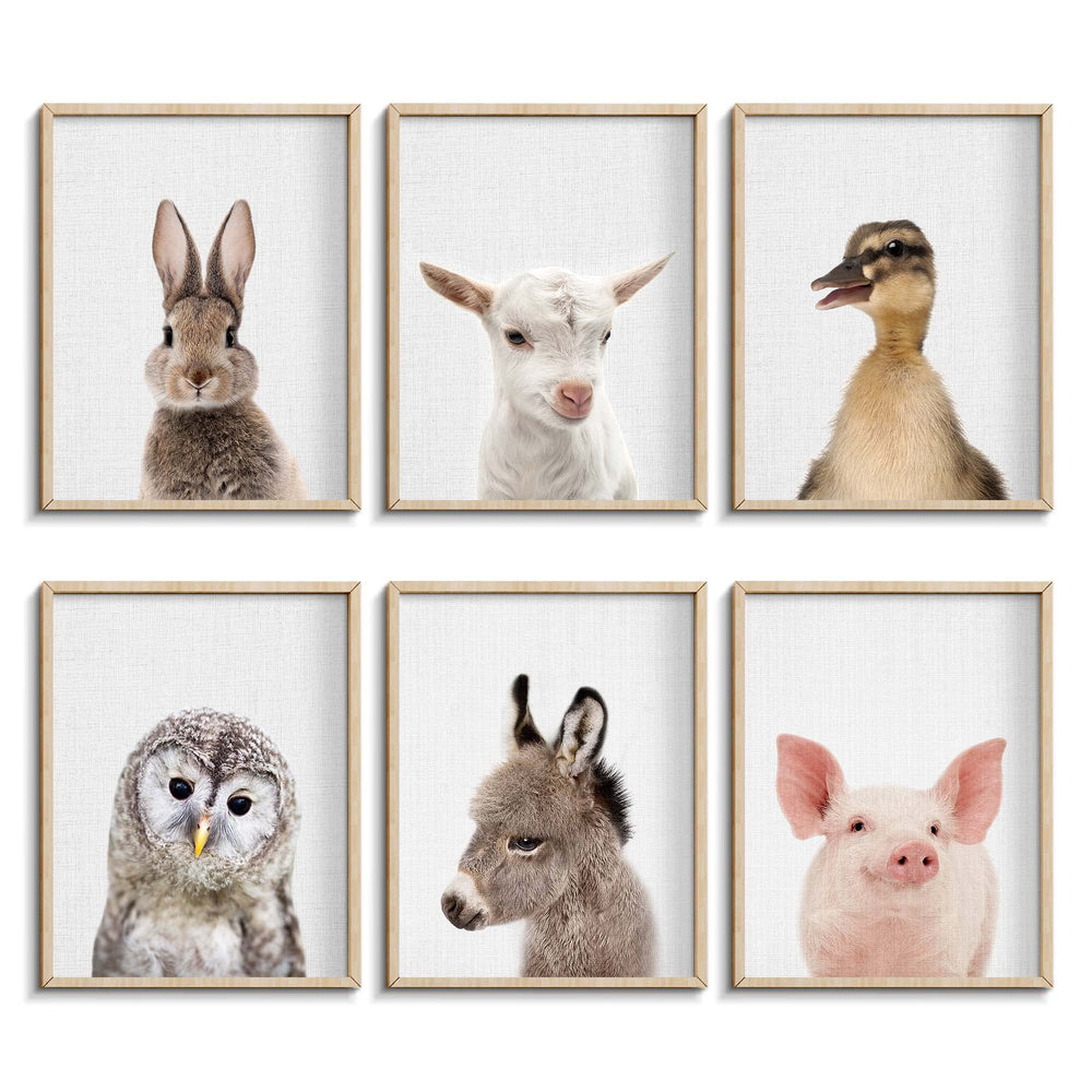 EPHANY Cue Bunny poster; brightens nursery walls for playful decor