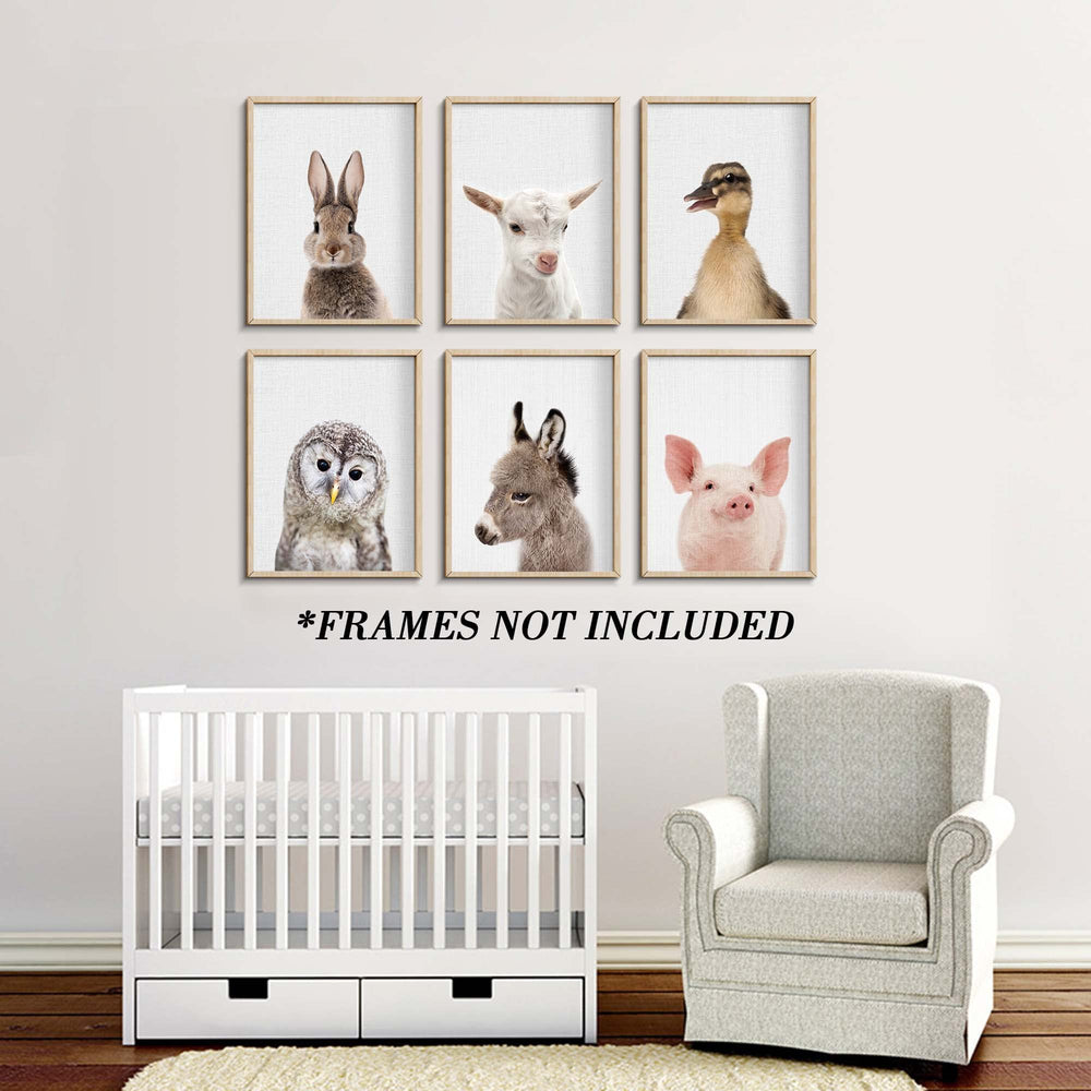 EPHANY Owl prints—calming woodland vibes for bedtime corners