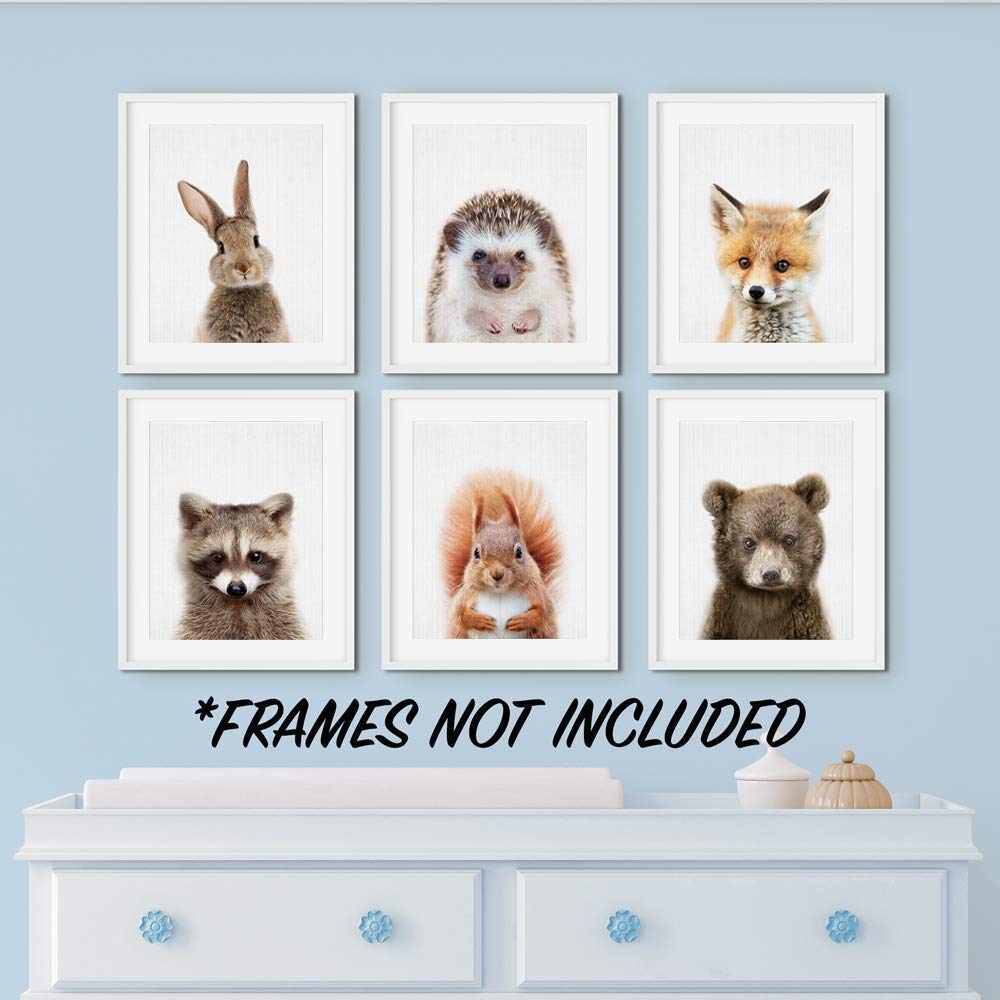 EPHANY piglet posters brighten desks and study corners with friendly animal art.
