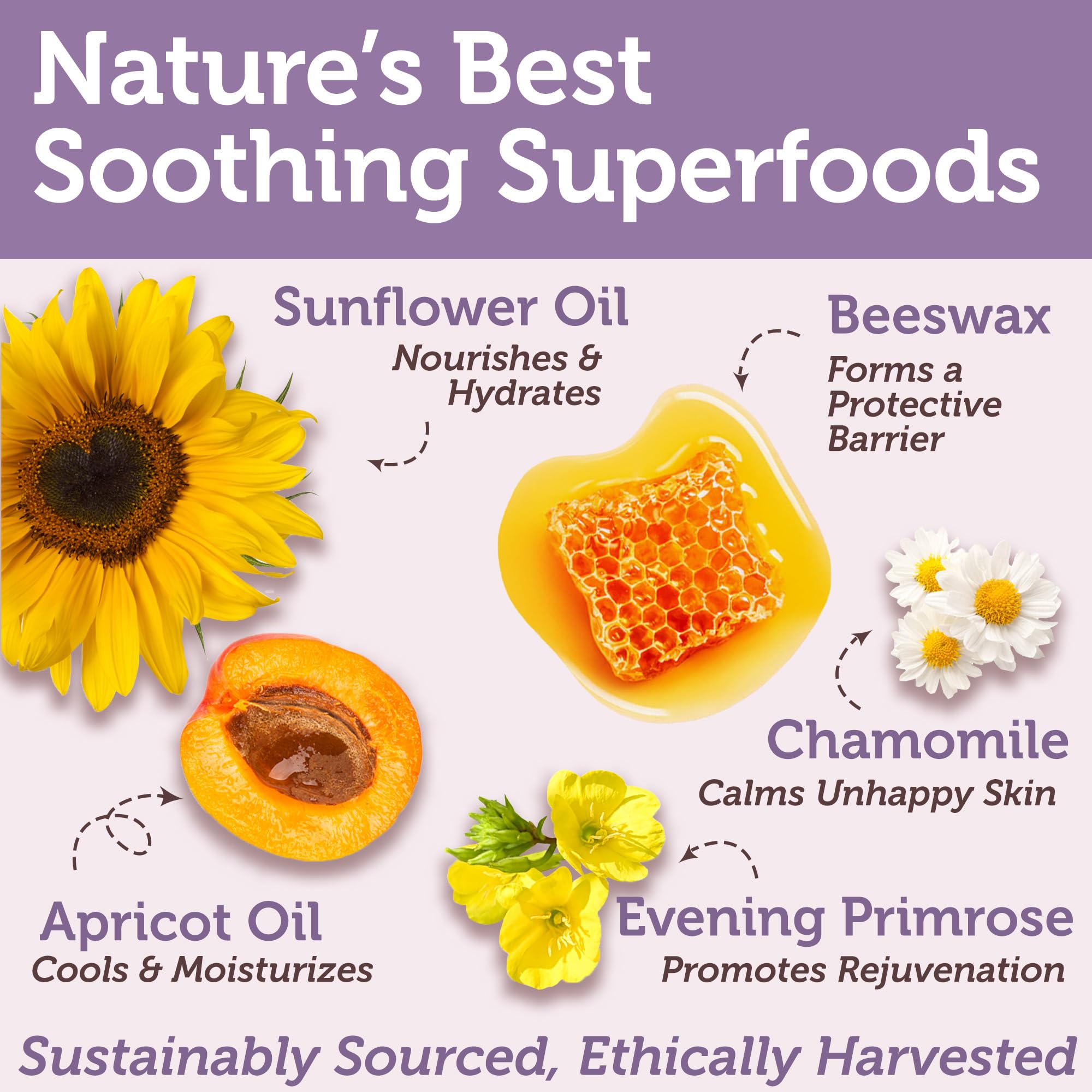 Era Organics nipple butter showing no wipe-off formula suitable for on-the-go feeding