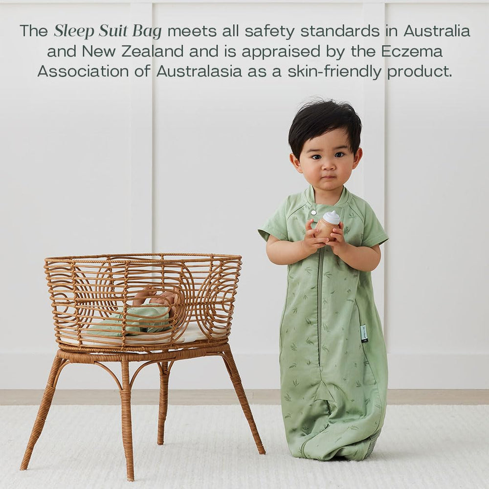 ergoPouch Sleep Suit Bag includes room thermometer and dressing guide for easy bedtime prep