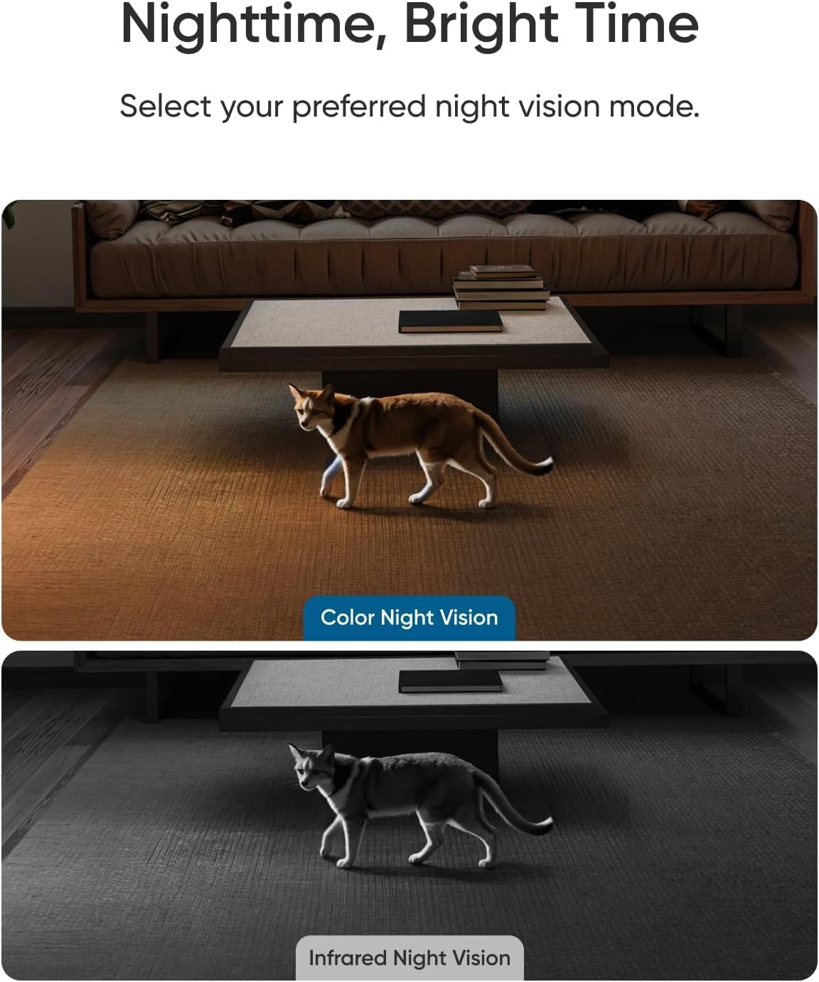 eufy Security E30 AI detection highlights human and pet activity