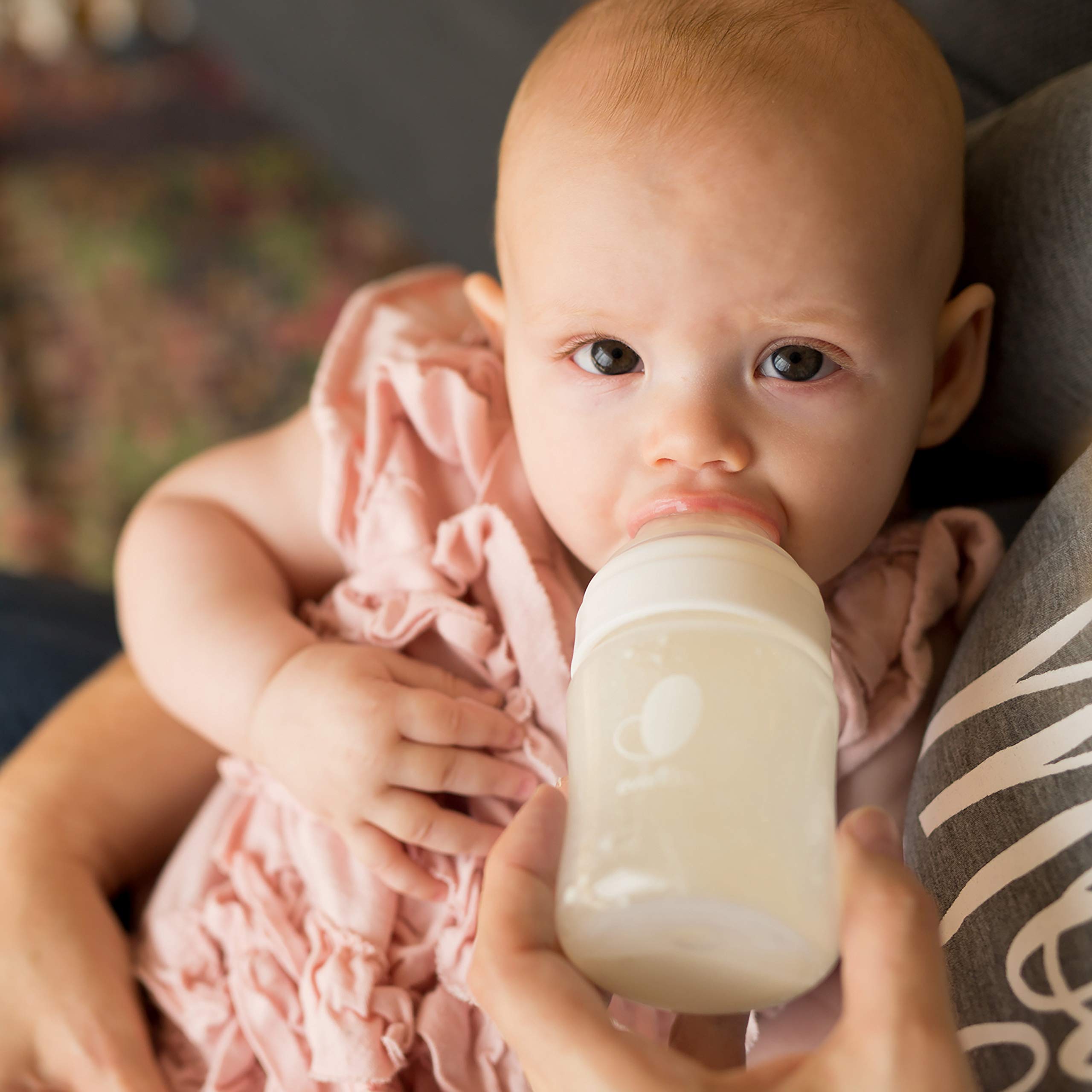 Evenflo bottle pack suitable for newborn to infant feeding needs.