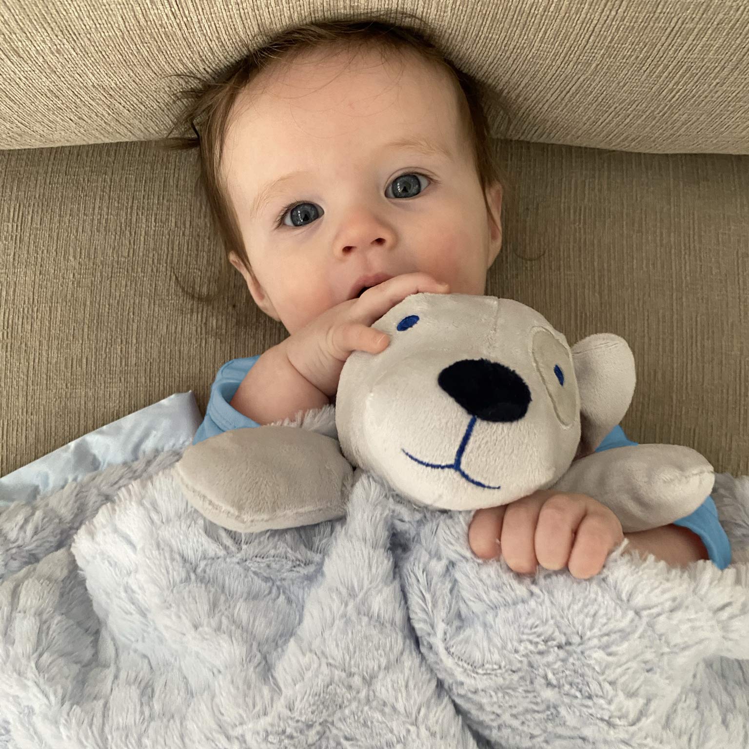 EVERYDAY KIDS dog stuffed head security blanket for giggles and comfort