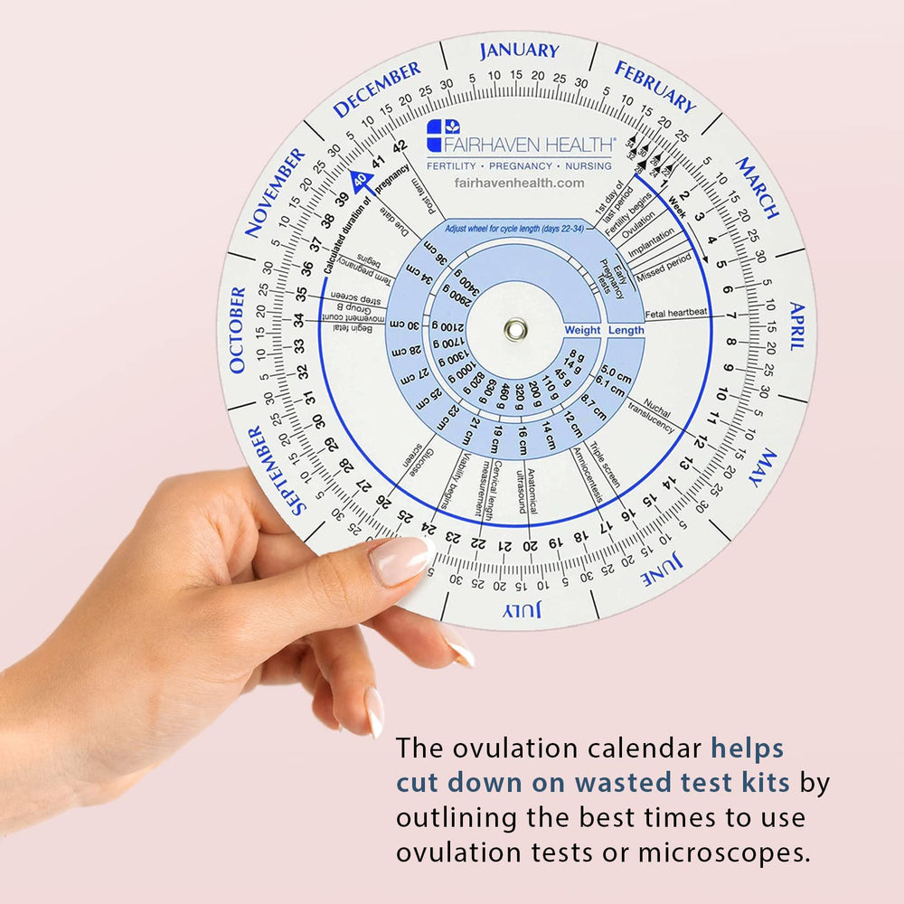 Fairhaven Health nine-month milestones calendar highlighting trimester progress.