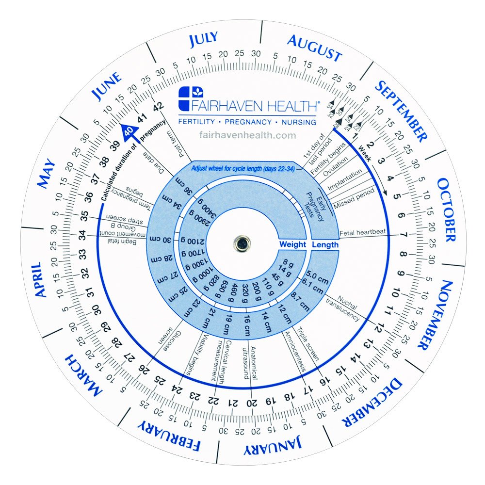 Fairhaven Health pregnancy wheel front view showing fertility windows and due-date guidance.