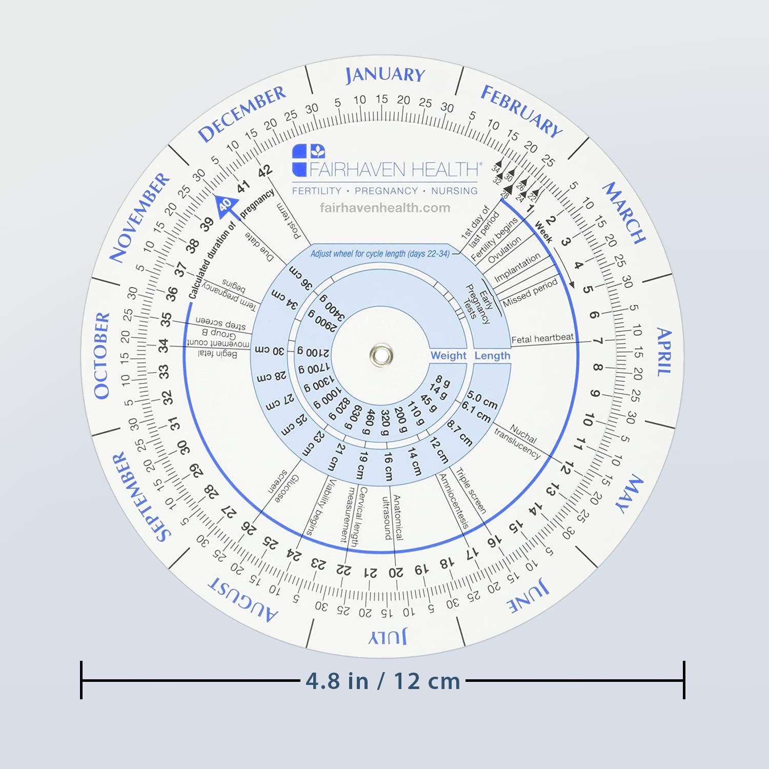 Fairhaven Health user-viewing wheel during planning or daily routine.