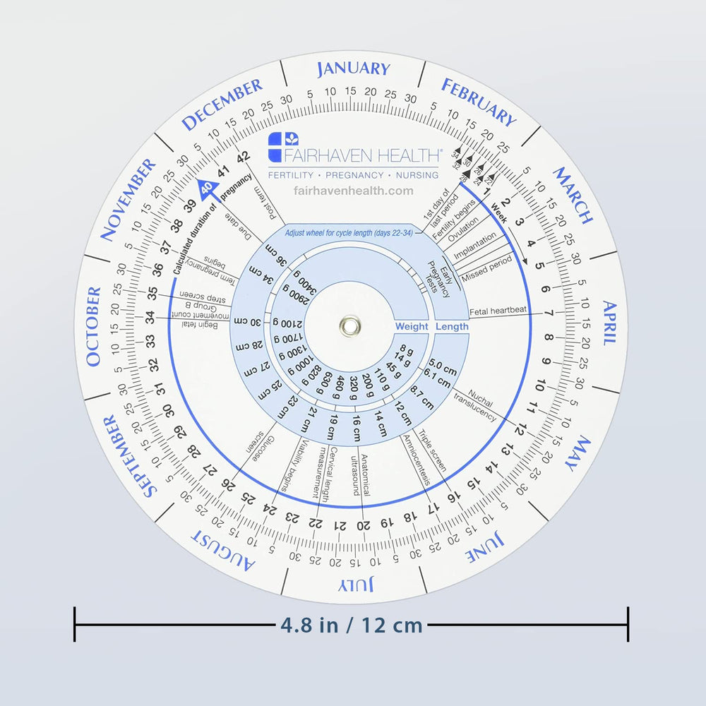 Fairhaven Health user-viewing wheel during planning or daily routine.
