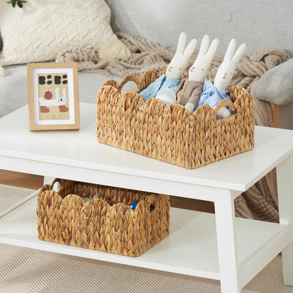 FairyHaus wicker basket 2Pack large 15x11x7 inches for storing magazines