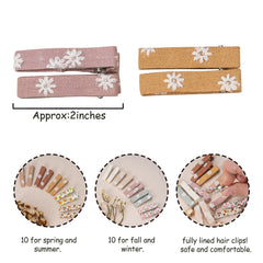 Fancy Clouds assorted colors clip set ideal for gifting and styling outfits