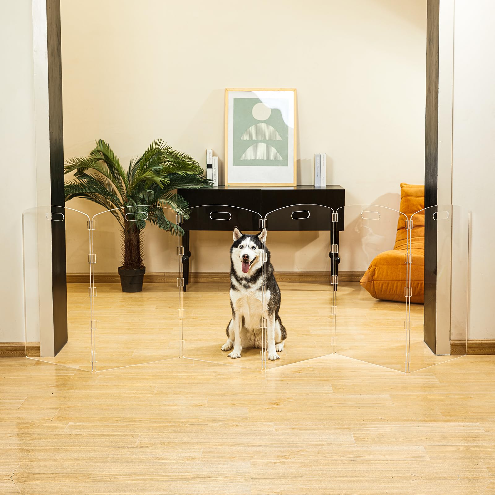 Feoyoho Modern Frame doorway-fit demonstrates flexible placement in hallways.