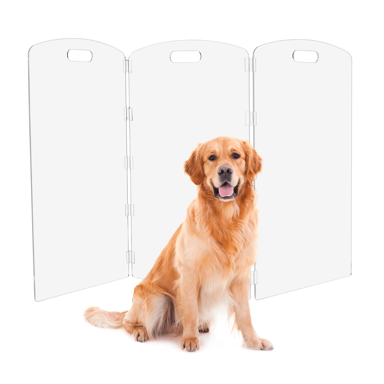Feoyoho Modern Frame clear acrylic gate front view shows a clean, unobtrusive design for any room.