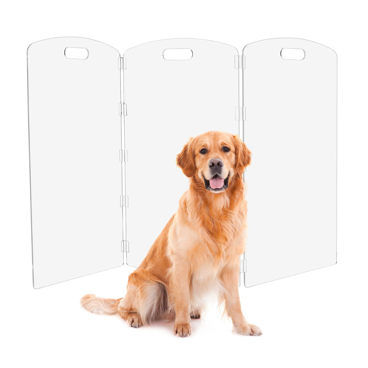 Feoyoho Modern Frame clear acrylic gate front view shows a clean, unobtrusive design for any room.