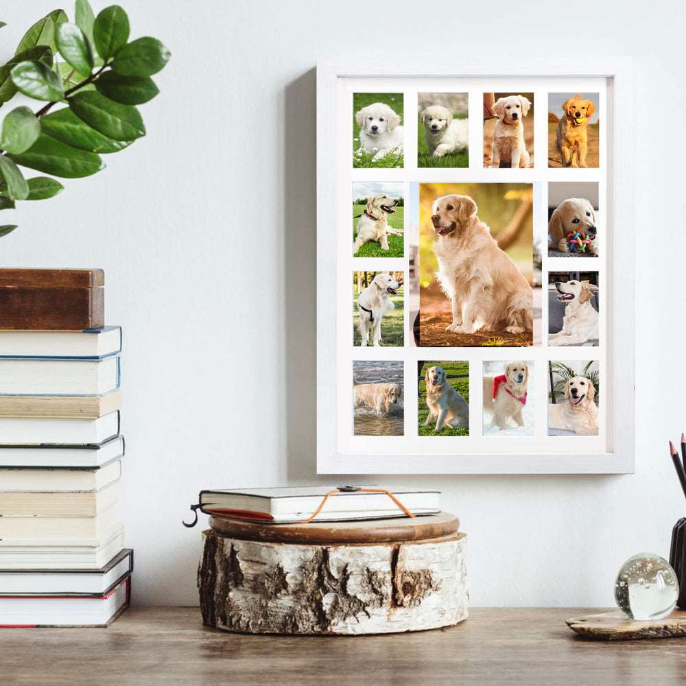 FramePro My First Year wall-mount option offers flexible nursery display
