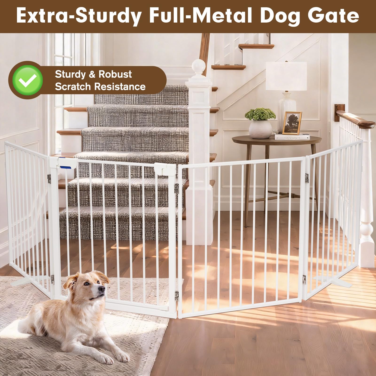 Furggis auto-close door helps keep pets contained between uses.