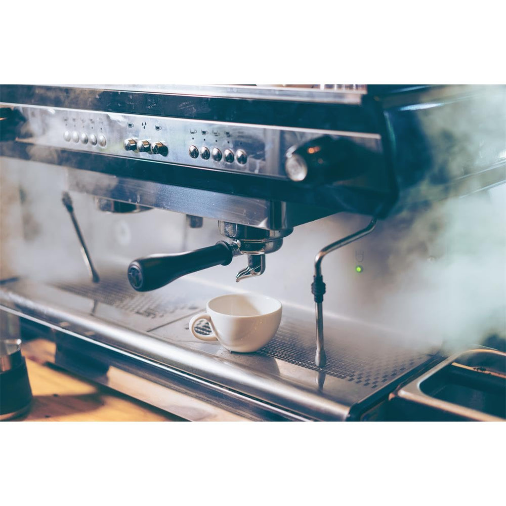 Gaggia descaling action demonstrates routine maintenance for consistent temperature in brewing.