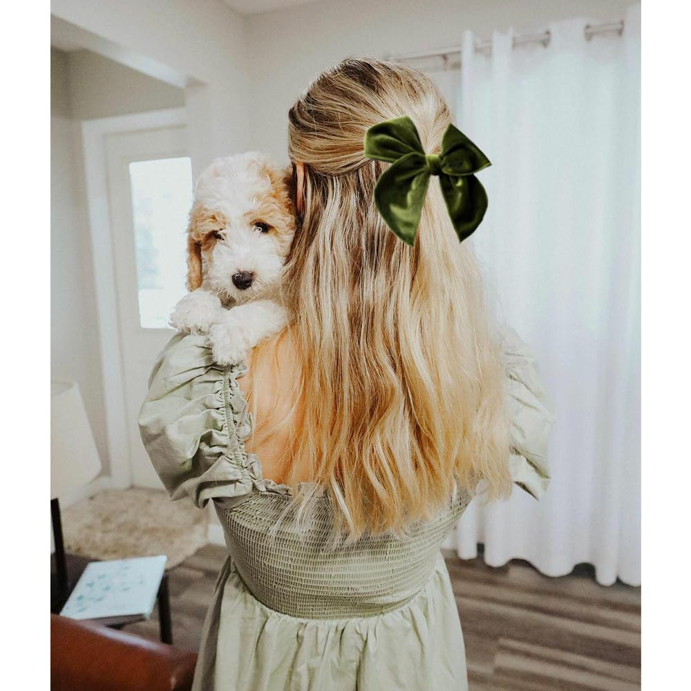 Gebelle velvet fable bow clip holiday-ready accessory for Christmas and parties