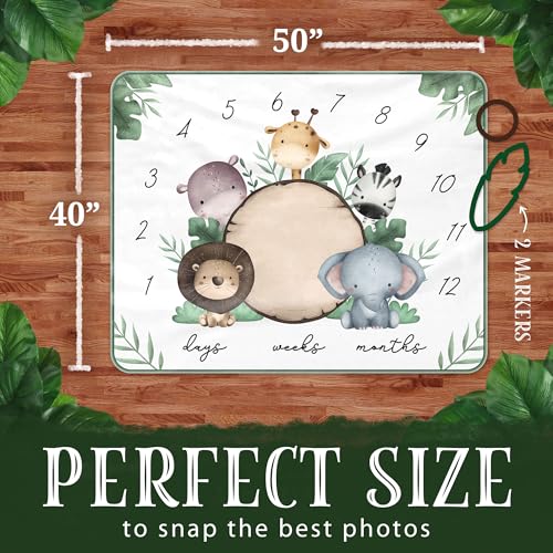 Generic Baby Milestone Blanket zebra design supports cute, memory-worthy pictures of baby’s early months.