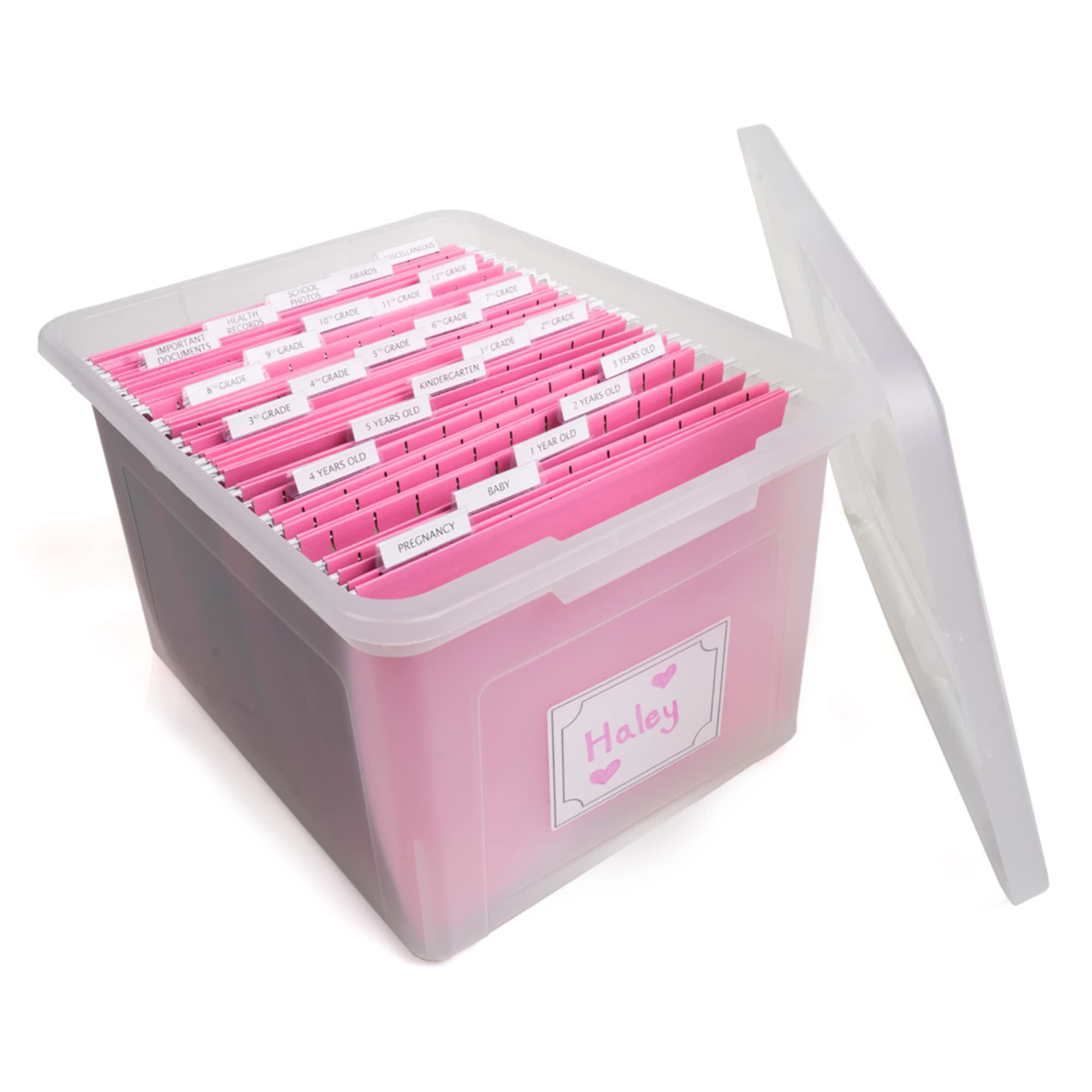 Generic Kid's Craft Memory Organizer bin in pink with clear view for easy keepsake access