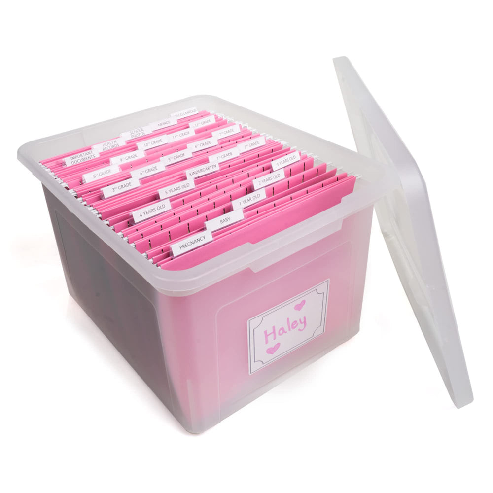 Generic Kid's Craft Memory Organizer bin in pink with clear view for easy keepsake access