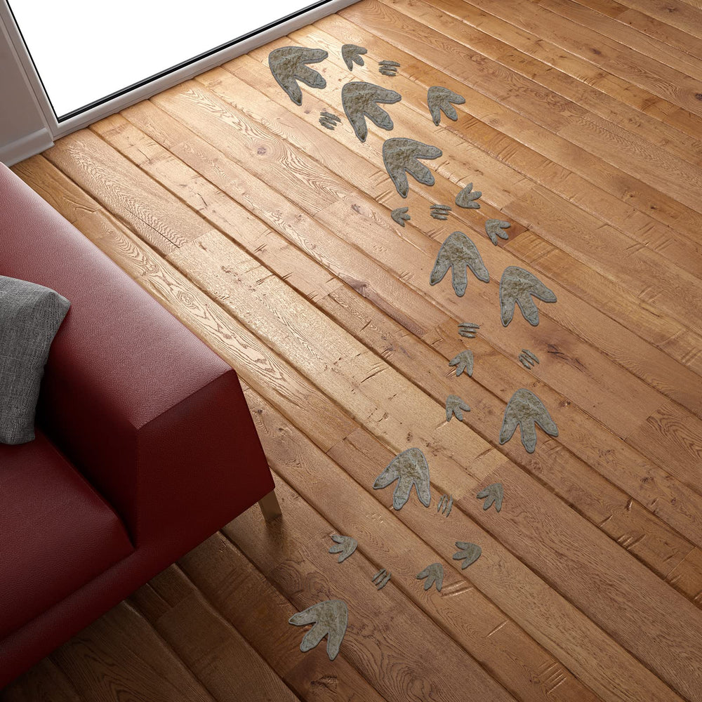 Versatile dinosaur footprint decals for walls, windows, dorms