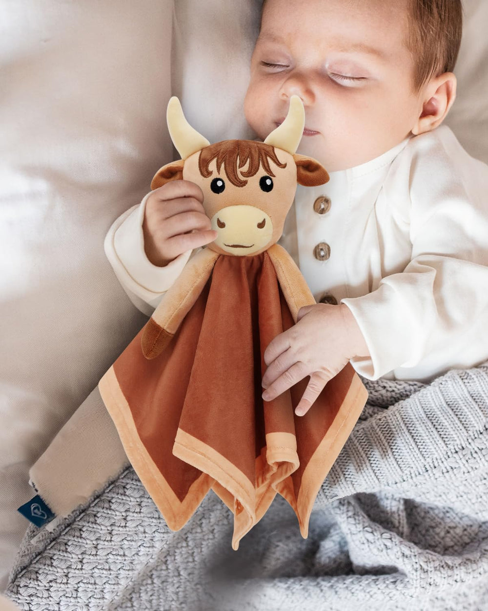 Gicoherero Highland Cow blanket 15x15 inch size is easy for little hands