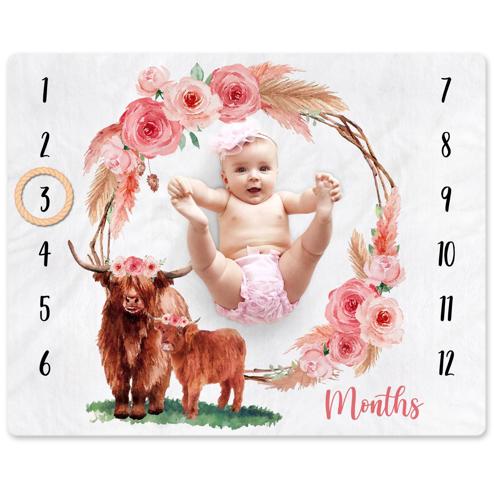 Gicoherero Highland cow monthly blanket front view for growth milestone photos
