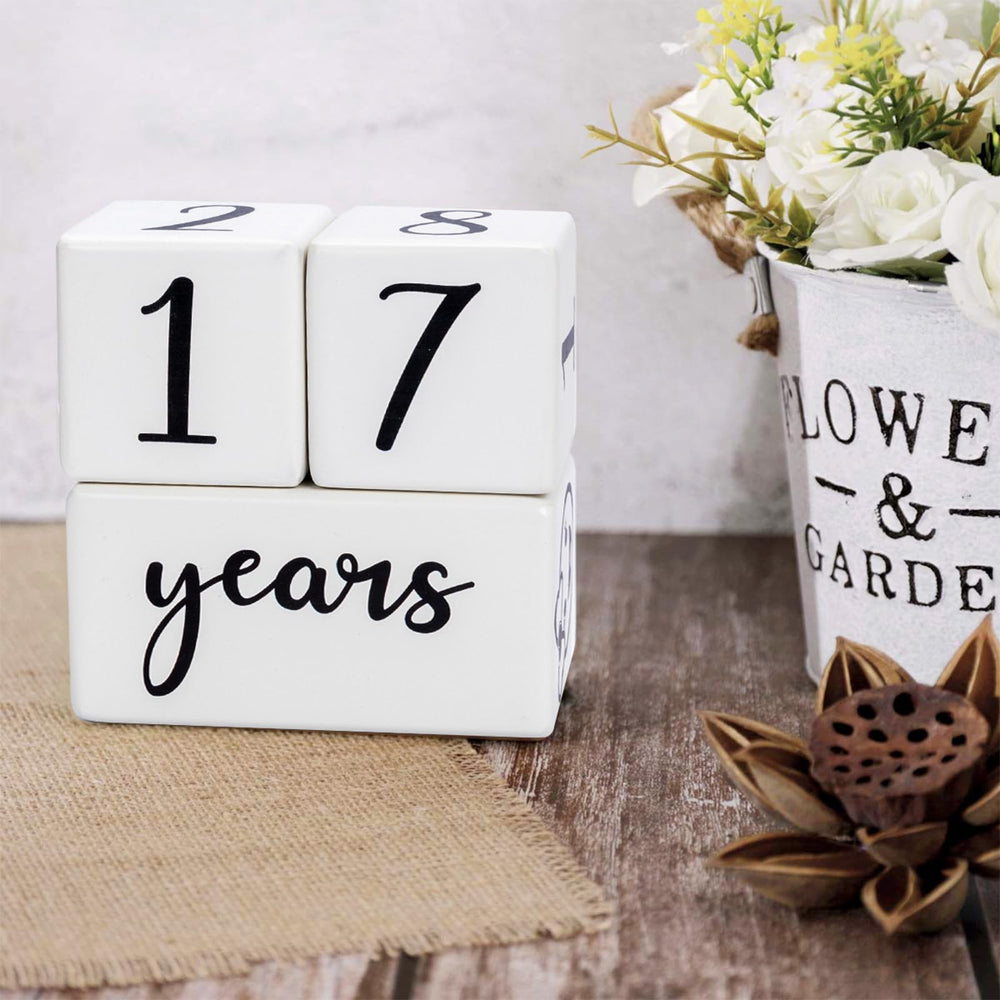 GIRVEM milestone set is versatile from pregnancy countdown to school age milestones