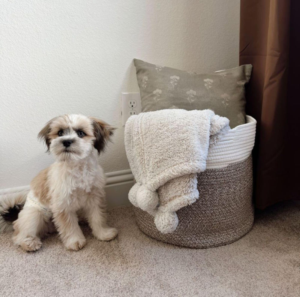 Goodpick cotton rope basket highlights built-in handles for easy transport.